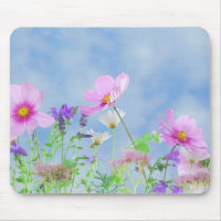 Wildflowers, Nature's Beauty