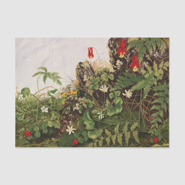 Wildflowers No. 1 by Ellen Robbins Tissue Paper (Front)