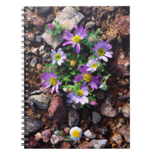 Wildflowers Notebook