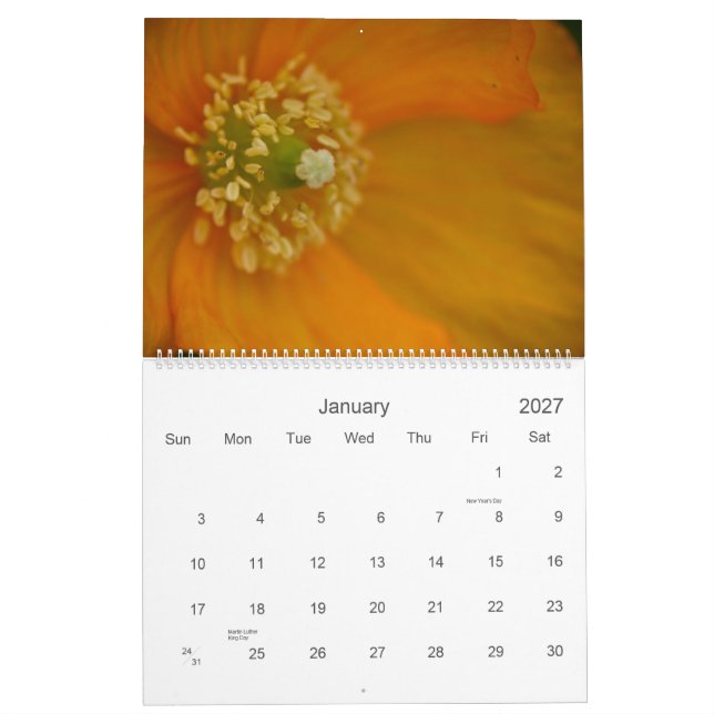 Wildflowers of Cornwall 2009 Calendar (Jan 2027)