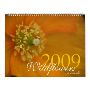 Wildflowers of Cornwall 2009 Calendar