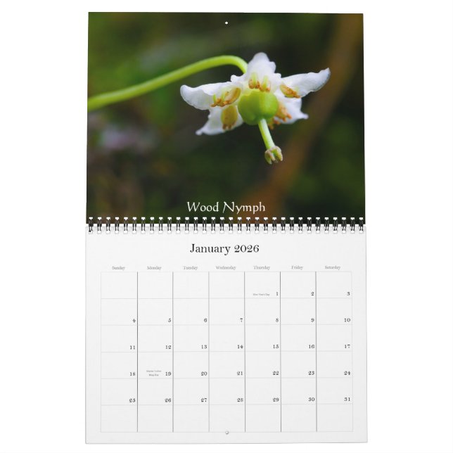 Wildflowers Of Crested Butte Calendar (Jan 2026)