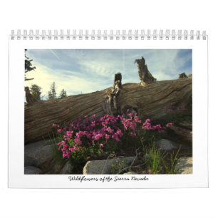Wildflowers of the Sierra Nevada Calendar