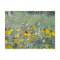 Wildflowers On The Prairie  - Postcard
