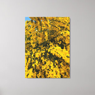 Wildflowers on the Trail, Oregon Canvas Print