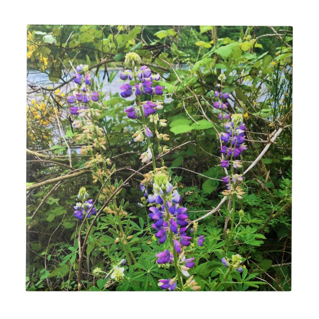 Wildflowers on the Trail, Oregon Tile (Front)