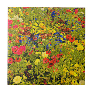 Wildflowers poppies colourful flower festival tile