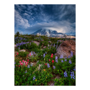 Wildflowers Poster