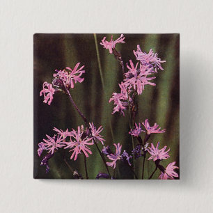 Wildflowers: Ragged Robin 2 Inch Square Button