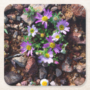 Wildflowers Square Paper Coaster