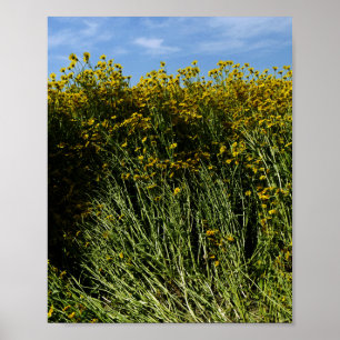 Wildflowers Sunflowers Poster