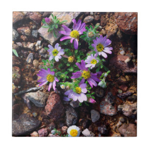 Wildflowers Tile
