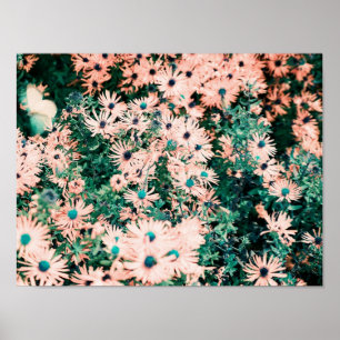 Wildflowers Unique Colours Poster