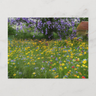 Wildflowers with a Cottage in the Countryside Holiday Postcard