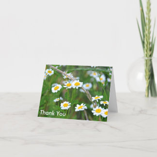 Wildflowers with Daisies, Thank You