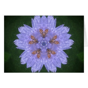 Wildfowers With Bees