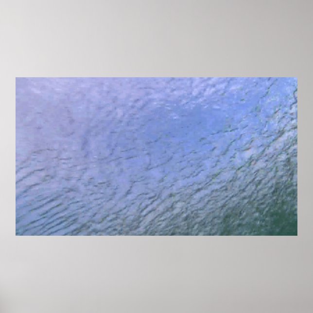 Wildlife 139 poster (Front)