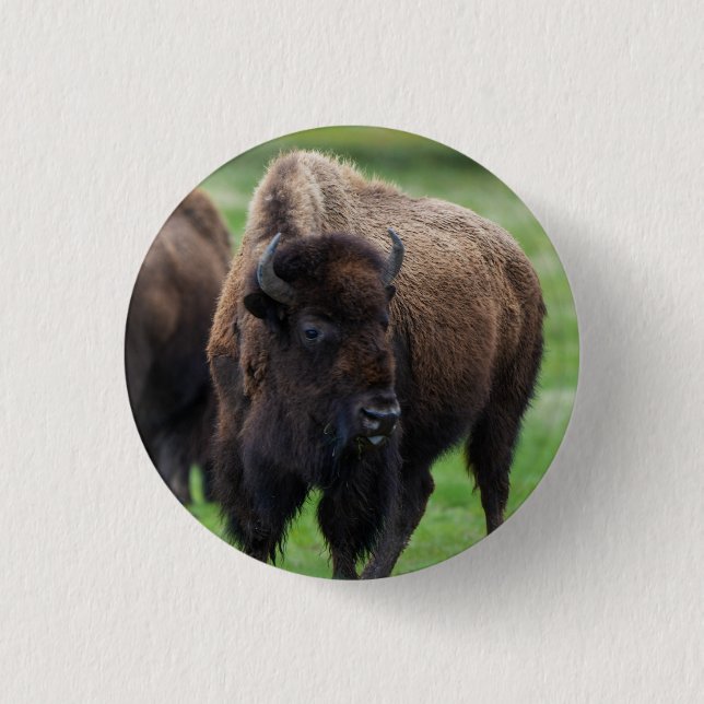 Wildlife  1 inch round button (Front)