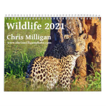 Wildlife 2021 by Chris Milligan