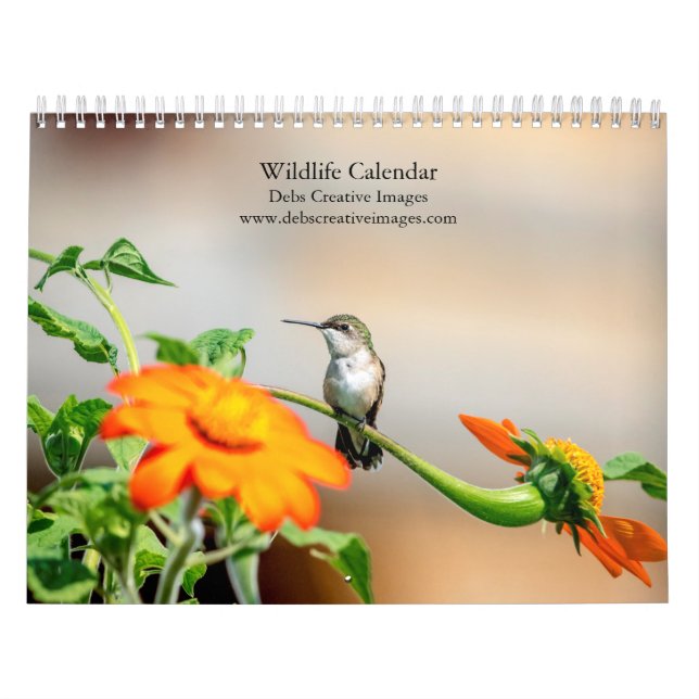 Wildlife 2026 calendar (Cover)