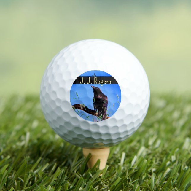 Wildlife (3-Pack) Raven Bird Personalized Golf Balls (Insitu Tee)