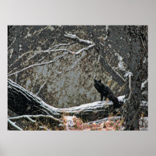 Wildlife 8 cmyk poster