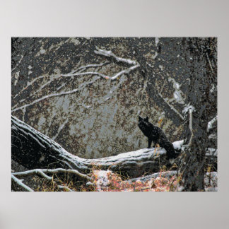 Wildlife 8 cmyk poster