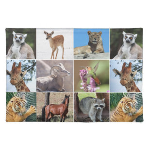 Wildlife 9 Animals Pictured in the Wild Placemat