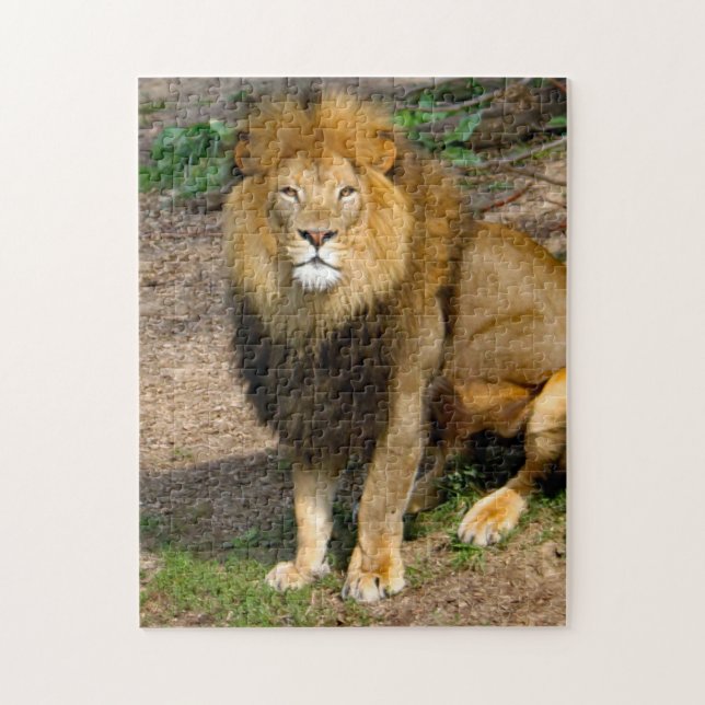 Wildlife African Lion Sitting Photo Jigsaw Puzzle (Vertical)
