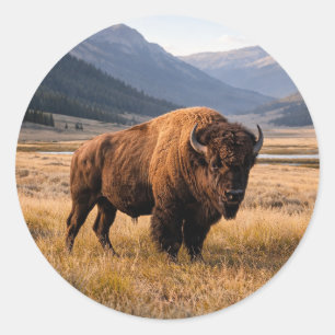 Wildlife American Bison Classic Round Sticker