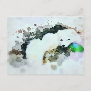 *~* Wildlife AP18 Snow White Arctic Polar Fox Postcard