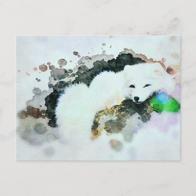 *~* Wildlife AP18 Snow White Arctic Polar Fox Postcard (Front)