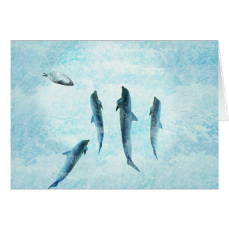 wildlife aquatic, dancing dolphins