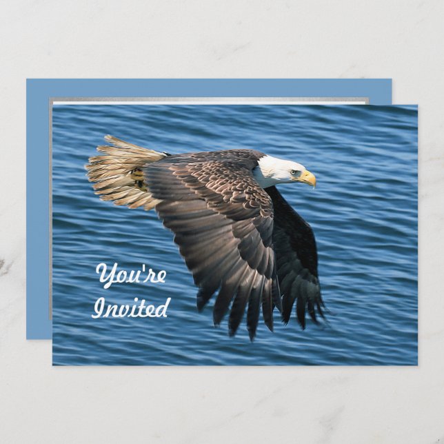 Wildlife Bald Eagle Photo Birthday Invitation (Front/Back)