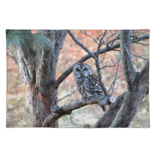 Wildlife Barred Owl Tree Photo Placemat