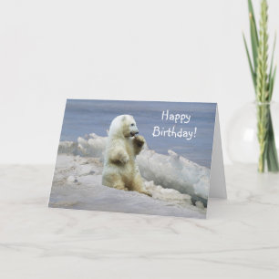 Wildlife Bears Animal-lovers Design Card