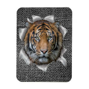Wildlife Bengal Tiger Magnet