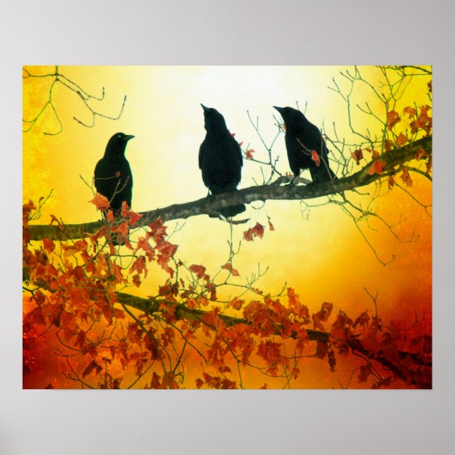 Wildlife Birds Poster (Front)