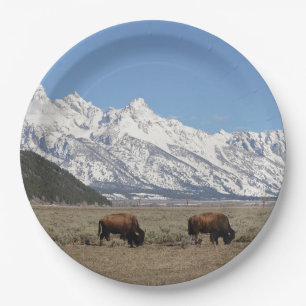 Wildlife Bison Mountains Snow Photo Paper Plate