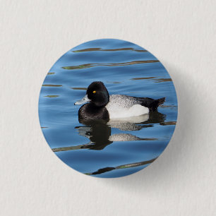 Wildlife Black and White Duck Scaup Photo 1 Inch Round Button