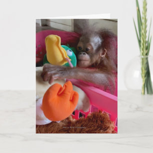 Wildlife Blank Cards:Baby Orangutan Grabs Toys  Card