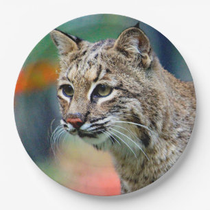 Wildlife Bobcat Photo Paper Plate