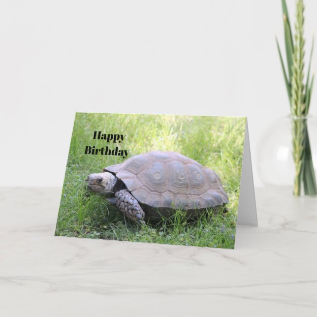 Wildlife Brown Tortoise Photo Birthday Card (Front)