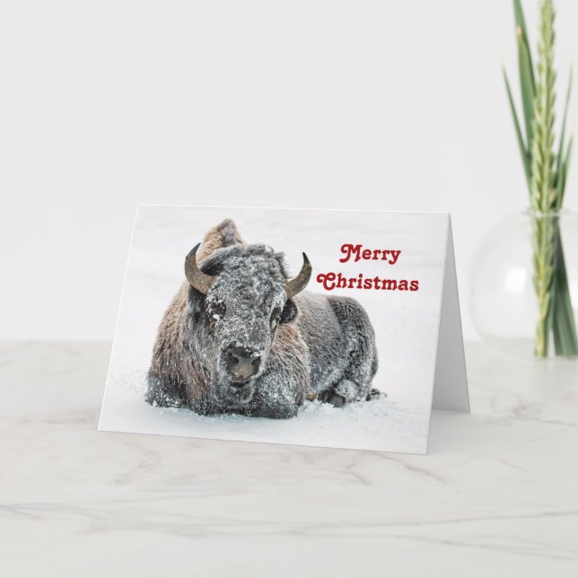 Wildlife Buffalo Snow Photo Christmas Holiday Card (Front)