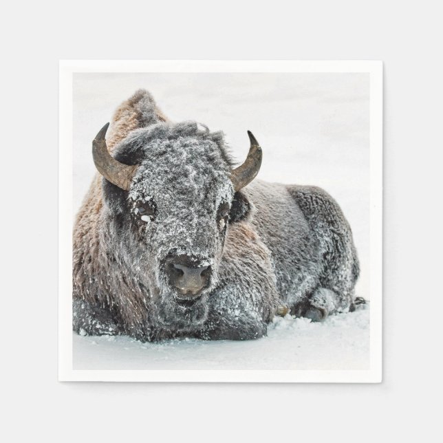 Wildlife Buffalo Snow Photo Napkin (Front)