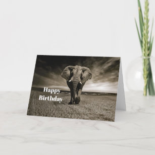 Wildlife Bull Elephant Photo Birthday Card