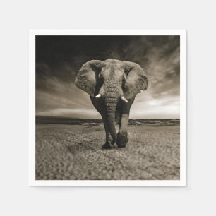Wildlife Bull Elephant Photo Napkin