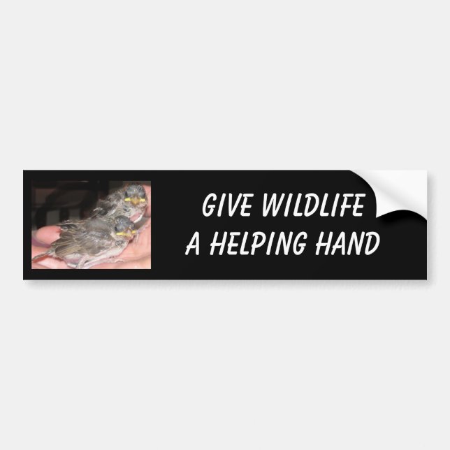 Wildlife Bumper Sticker (Front)