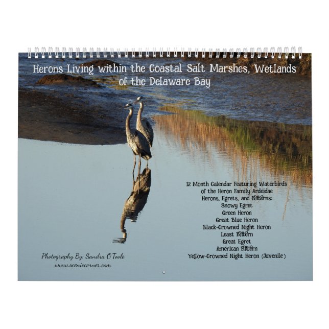 Wildlife Calendar, Waterbirds, Herons Calendar (Cover)