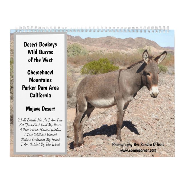 Wildlife Calendar, wild donkeys, burros, desert Calendar (Cover)